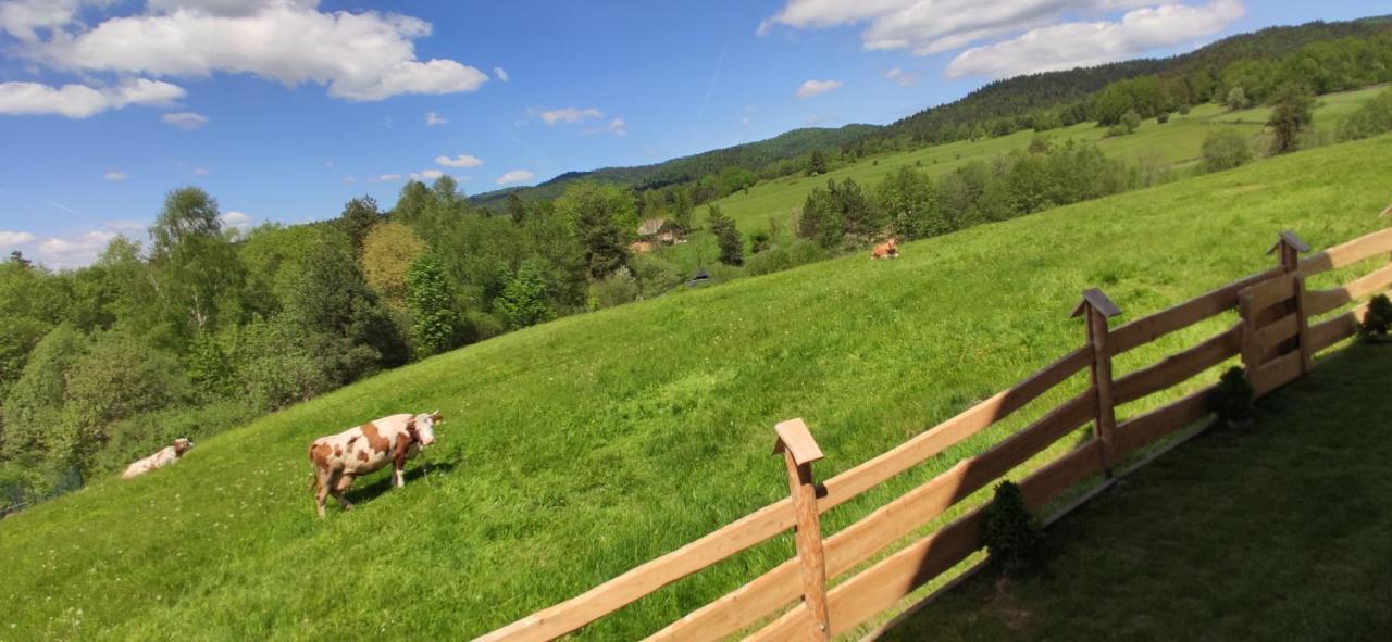 Goralskie Domki Na Podhalu - Z Jacuzzi Maniowy エクステリア 写真